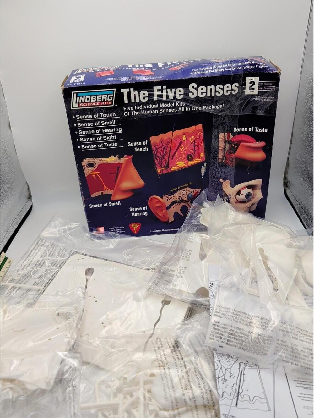 LINDBERG SCIENCE KITS The Five Senses Touch Smell‎ Hearing Sight Taste MODEL KIT